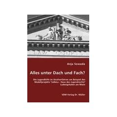 Alles unter Dach und Fach?: Die Jugendhilfe im Strafverfahren am Beispiel des Modellprojekts "JuReLu - Haus des Jugendrechts" Ludwigshafen am Rhein