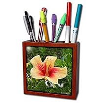 Flowers - Red and Yellow Hibiscus - Tile Pen Holders-5 inch tile pen holder