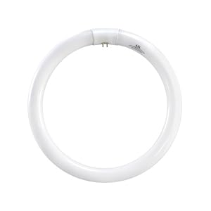 Buy ASL CIR32 41K 32-Watt Circline 4-Pin Electronic Magnetic Ballast Bulb, Cool White now!