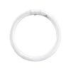 ASL CIR32/41K 32-Watt Circline 4-Pin Electronic/Magnetic Ballast Bulb, Cool White