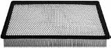Hastings AF1139 Panel Air Element