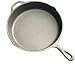 Kitchen & Housewares : Lodge Cast Iron Skillet 8"