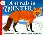 Animals In Winter