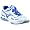 White/Royal