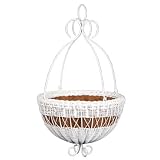 DMC Products 16-Inch Resin Wicker Hanging Basket with Chain Hanger, Antique Brown