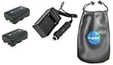 ValuePack (2 Count): Digital Replacement Battery PLUS Mini Battery Travel C ....