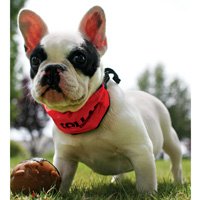 Kool Collars for Dogs - RED KOOL COLLAR - SMALL