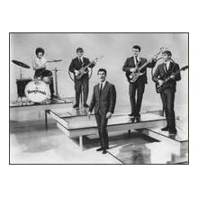 The Honeycombs