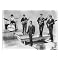 The Honeycombs