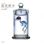 [新世界]透明標本~New World Transparent Specimen~