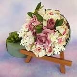 �t�����[�{�b�N�X�A�����W�u�����~�j�����v�@�t�F���V�e���[�u�i�p�[�v���j�@�~�j�C�[�[���t�uCT�G�}���H�v