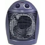 Kitchen & Housewares : Rowenta Kwik SO1030 Fan Heater, 2000 Watts