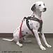 Ruff Rider Roadie Elite Canine Vehicle Restraint System/Utility Harness, size 1