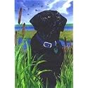 Black Lab Garden Flag by GR8 Dogs (Multi , 12 x 18 )