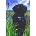Black Lab Garden Flag by GR8 Dogs (Multi , 12� x 18� )