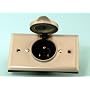 Leviton Motor Base Plug w/Grounded Receptacle