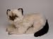   - Colorpoint Persian, Lying Down - Lifelike Plush|One Size - 12 inches