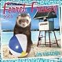 Ferret Frenzy 2009 Wall Calendar