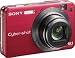 Sony Cybershot DSCW170/R 10.1MP Digital Camera with 5x Optical Zoom with Super Steady Shot (Red)