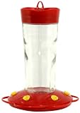Perky-Pet 227 Blossom Top-Fill 27-Ounce Glass Hummingbird Feeder, 6 Feeding Ports