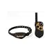 Kitchen & Housewares : Radio Systems Deluxe Little Dog Trainer Black - PDT00-10867
