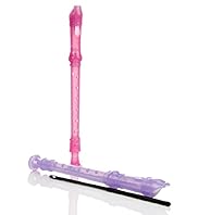 Glitter Recorder Toy