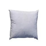 18'' x 18'' Feather/Down Pillow Form White By The Each