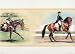 HORSE Show riding Wallpaper wall BORDER home decor ROLL
