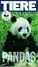 Tiere in Gefahr - Pandas