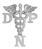 NursingPin - Doctor of Nursing Practice DNP Diamond Nurse Pin in Silver