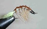 Michigan Wiggler Hot Tail Green #8
