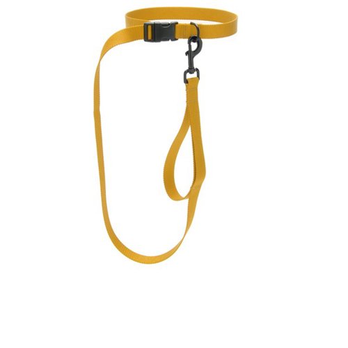 Max Zoey 1 Inch Wide Hands Free Dog Leash with Traffic Handle Control Yellow Romaine J. Crideryer