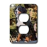 Dogs Bernese Mountain Dog - Bernese Mountain Dog - Light Switch Covers - 2 plug outlet cover