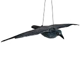 Siena Garden 672958 Rabe fliegend bestehend aus 2 Packstücke