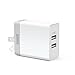 Anker 20W 2-Port USB Wall Charger with Foldable Plug and PowerIQ Technology for Apple iPhone 6 / 6 Plus, iPad Air 2 / mini 3, Samsung Galaxy S6 / S6 Edge, Nexus, HTC M9, Motorola, LG and More (White)