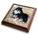 Dogs Pomeranian - Black and Tan Pomeranian - Trivets