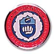 Uniform Pin - Korean TKD Association Pin