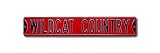 ARIZONA WILDCATS WILDCAT COUNTRY Arizona AUTHENTIC METAL STREET SIGN (6 X 36)