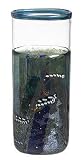 Kosta Boda Meteor Large Round Vase 9-1/2-Inch
