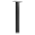 Pedestal In-ground Mounted Post
