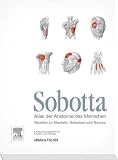 Sobotta Tabellen: Tabellen zu Muskeln, Gelenken und Nerven