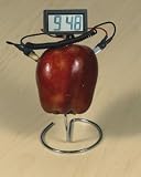 Fruit Powered Clock