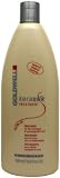 Goldwell Kerasilk Treatment - Rich Care 16.9 oz