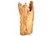 Phillips Collection Root th58118 Sculpture by Phillips Collection