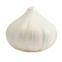 Hutzler Garlic Saver
