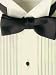Ivory Tuxedo Shirt - Microfiber 1/4 Inch Pleat, Wing Collar