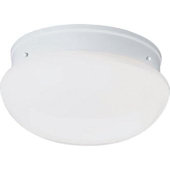Flush Mount Compact Fluorescent 10 Fitters Flush Mount Ceiling