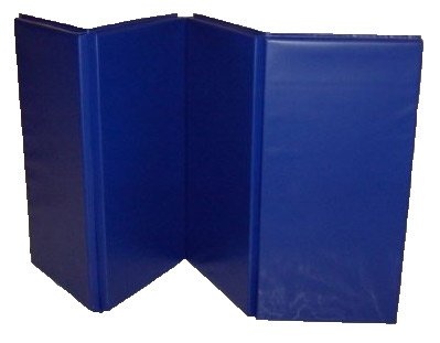 4x8 Royal Blue Mat 2 Thick V2