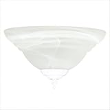 Concord Ceiling Fan Light Kit in White Lighting Type: Energy Star 314LJ7rpQ1L. SL160 Concord Ceiling Fan Light Kit in White Lighting Type: Energy Star