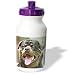 rottweiler22 - Dogs Rottweiler Rottweiler Portrait Water Bottles